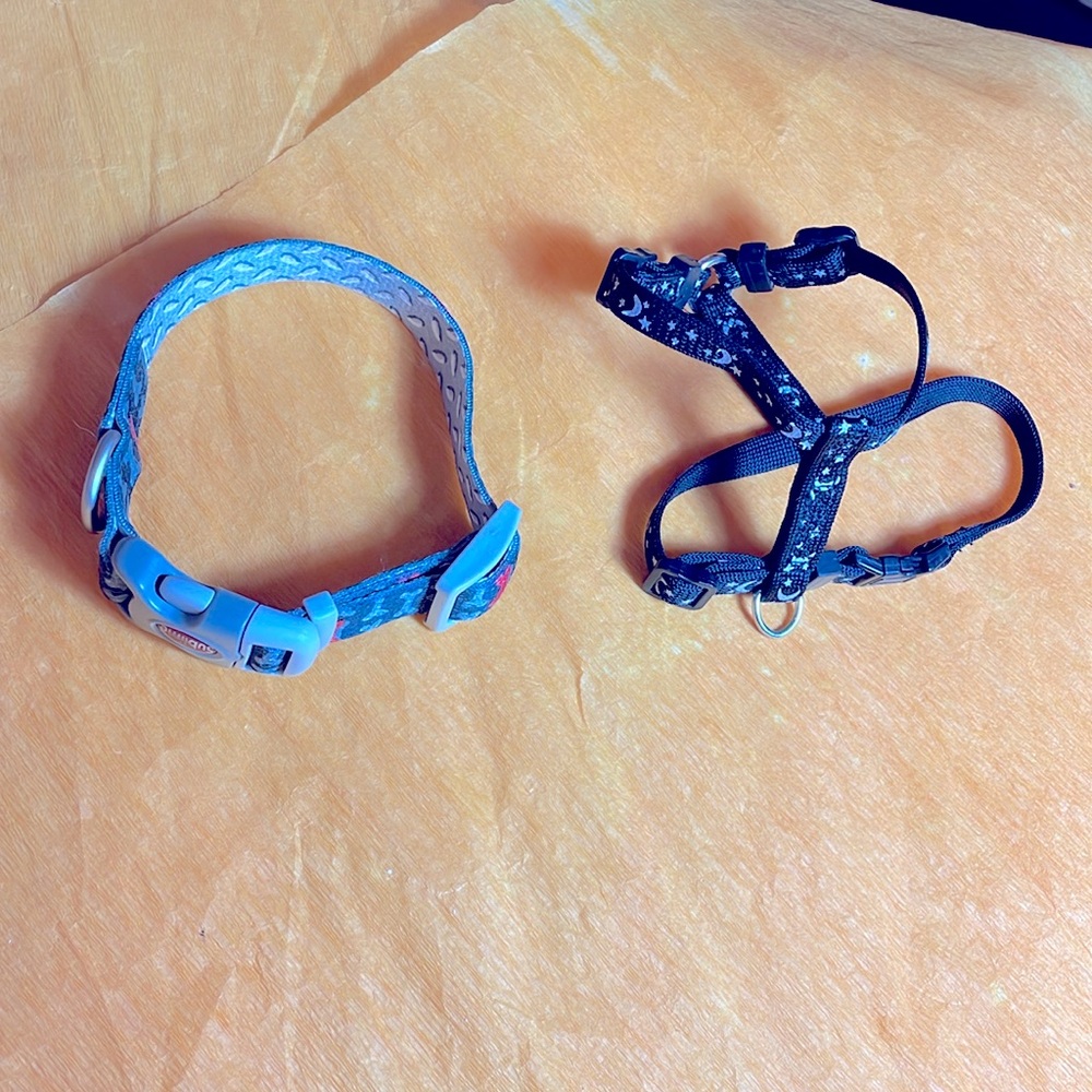 Dog Collars - Picture 1 of 3